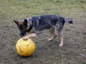 Pension_2