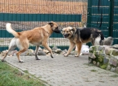 Pension_21