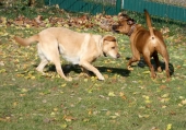 Pension_2