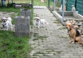 Pension_15