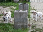 Pension_16