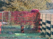 Pension_1