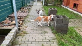 Pension_1
