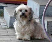 Pension_20