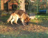 Pension_21