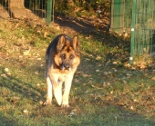Pension_22