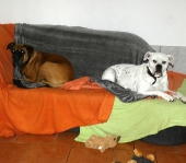 Pension_26
