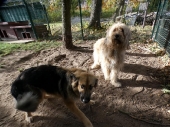 Pension_2