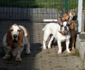 Pension_2