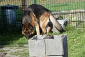 Pension_31