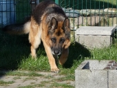 Pension_31