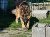 Pension_42