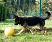Pension_42