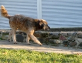 Pension_45