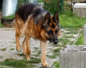 Pension_56