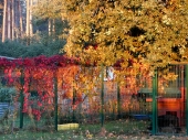 Pension_5