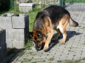 Pension_62