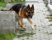 Pension_63