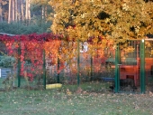 Pension_8