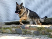 Pension_94