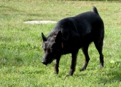 Pension_21