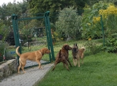 Pension_22
