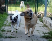 Pension_2