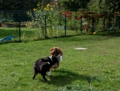 Pension_2