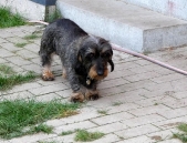 Pension_40