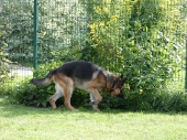 Pension_42