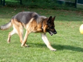 Pension_44