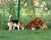 Pension_44