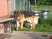Pension_64