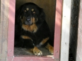 Pension_66