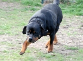 Pension_22