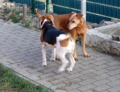Pension_23