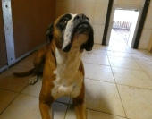 Pension_12