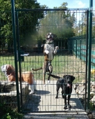 Pension_27