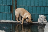 Pension_2