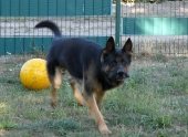 Pension_48