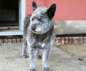 Pension_1