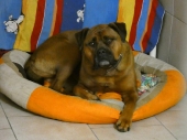 Pension_63