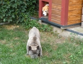 Pension_116