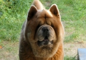 Pension_11