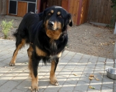 Pension_12