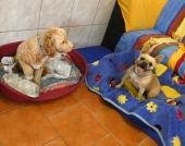 Pension_1