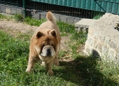 Pension_20