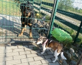 Pension_20