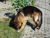Pension_21