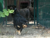 Pension_21